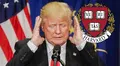 Trump vive pesadilla contra estudiantes extranjeros en EEUU: jueza bloquea nueva medida y le da la razón a Harvard