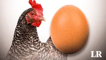 Los científicos por fin tienen la respuesta a la eterna pregunta: “¿Qué fue primero, el huevo o la gallina?"